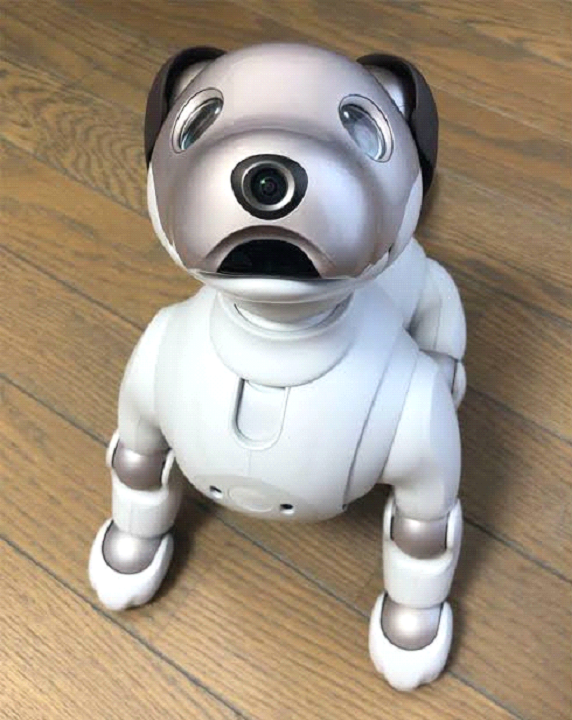 Sony Aibo ERS-1000 Companion Robot (UKCA / CE Compliant)